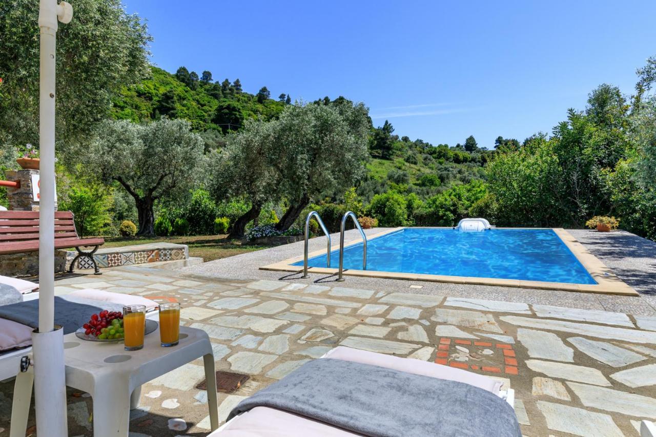 Villa Agia Marina 스코펠로스 타운 외부 사진